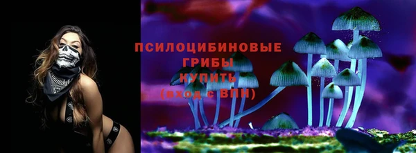 герыч Лиски