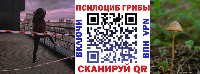 Псилоцибиновые грибы GOLDEN TEACHER  Холм 