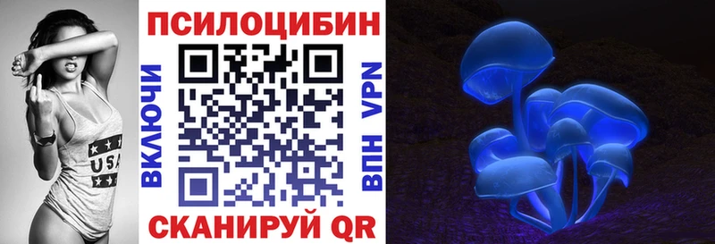 Галлюциногенные грибы Cubensis Холм